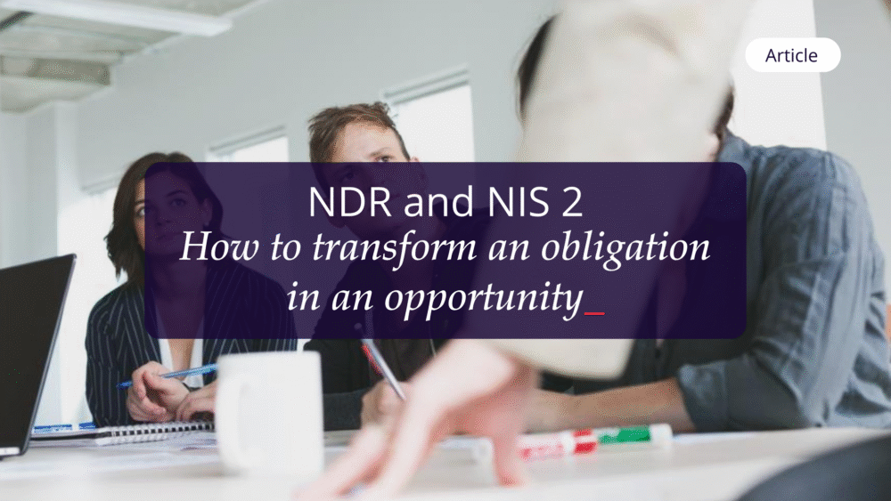 Articledeblog Ndrnis2 Eng
