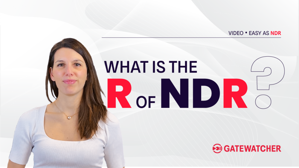 EasyAsNDR-video5 EN- What is the R of NDR?