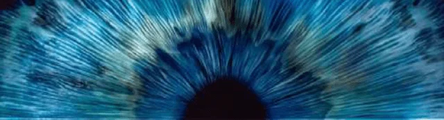 Trouver Un Partenaire Gatewatcher M